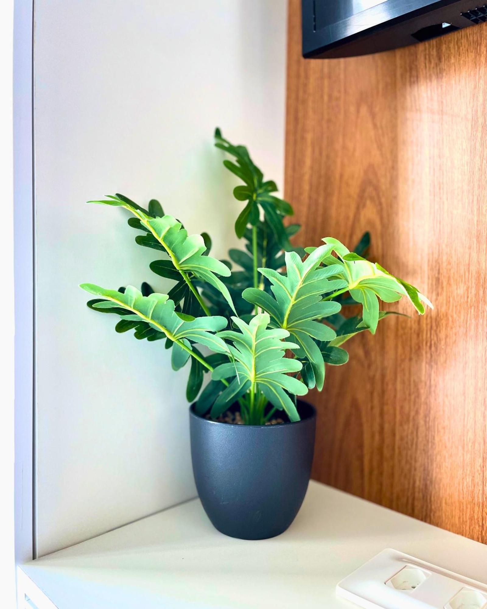 Flats By Bnb Flex - Costa Vicentina Recife Ngoại thất bức ảnh