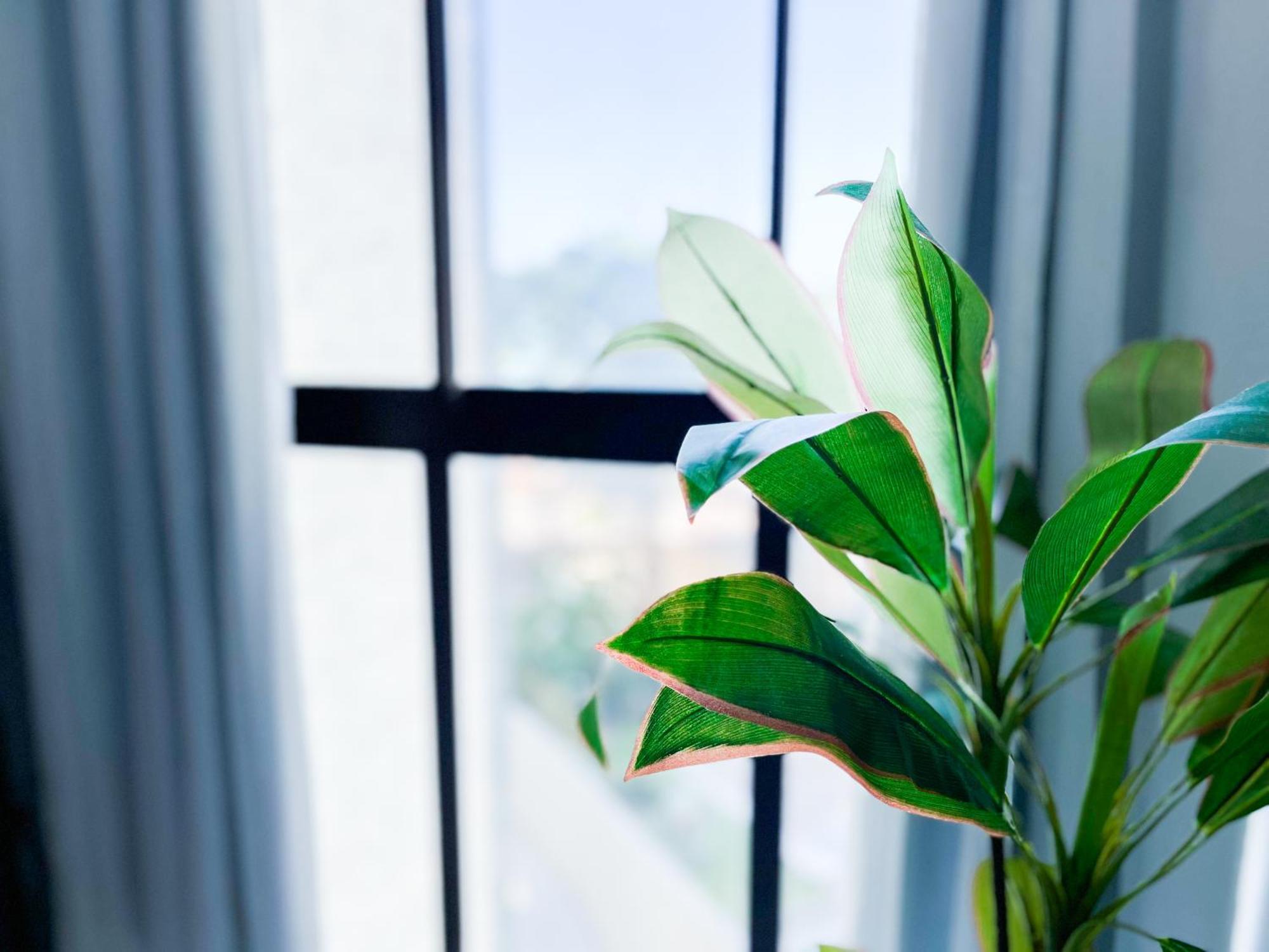 Flats By Bnb Flex - Costa Vicentina Recife Ngoại thất bức ảnh